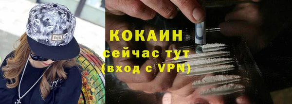 прущие грибы Балабаново