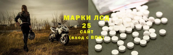 прущие грибы Балабаново
