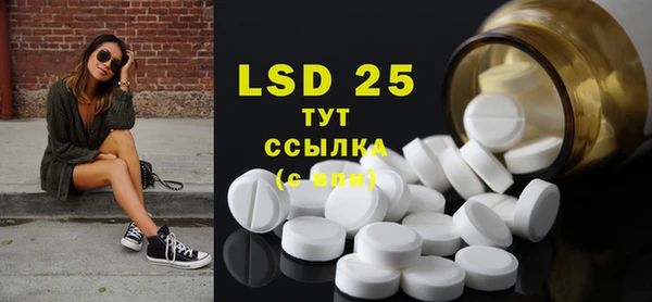прущие грибы Балабаново