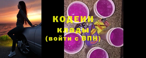 прущие грибы Балабаново