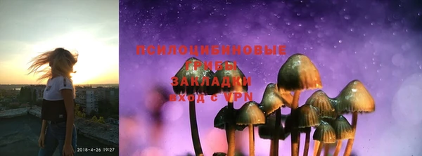 прущие грибы Балабаново