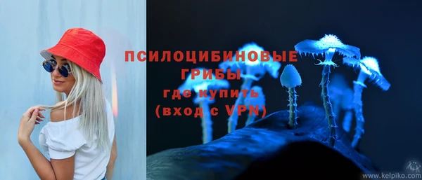 прущие грибы Балабаново