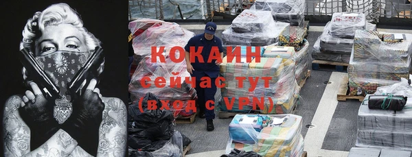 прущие грибы Балабаново