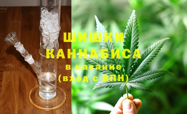 прущие грибы Балабаново