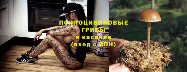 2c-b Балахна