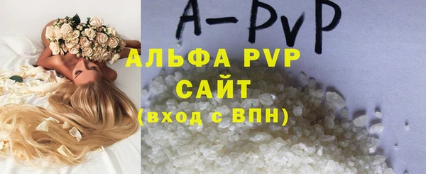 прущие грибы Балабаново