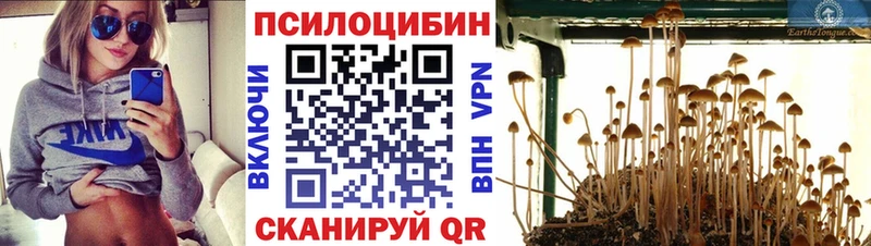 купить наркотики сайты Ужур blacksprut вход Псилоцибиновые грибы Psilocybe